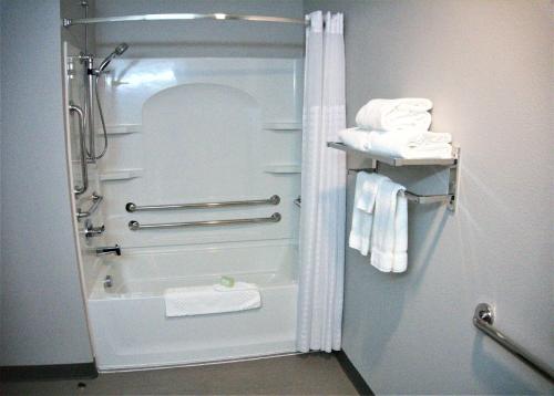 道奇堡Brookstone Inn & Suites的带淋浴和毛巾浴缸的浴室
