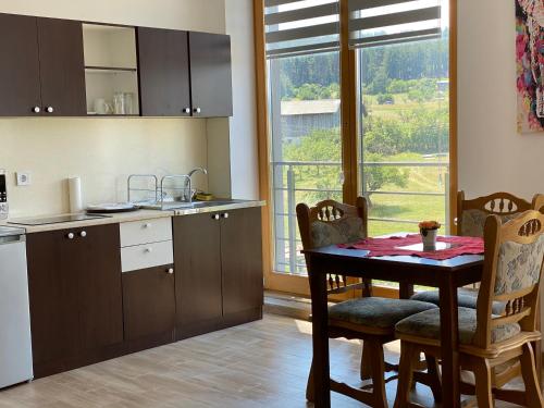 贝罗沃Papa Apartments的带桌椅的厨房和带窗户的厨房