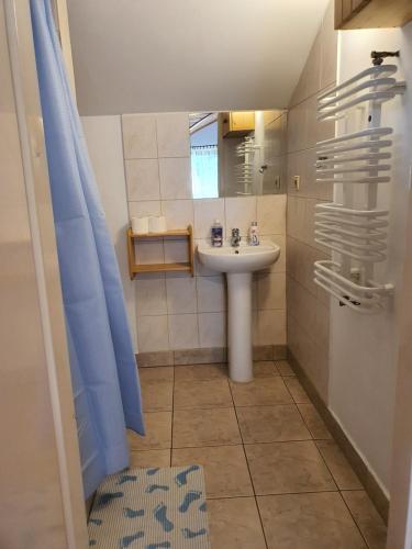 克鲁克兰基Siedlisko nad Sapiną的一间带水槽和镜子的小浴室