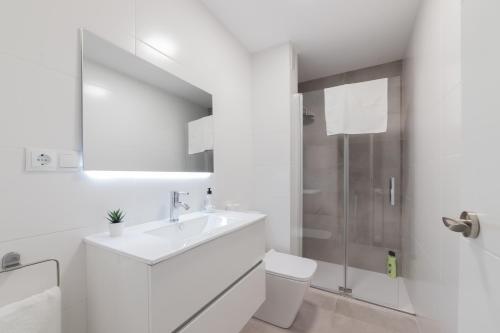 洛格罗尼奥Apartamento el centro的白色的浴室设有卫生间和水槽。