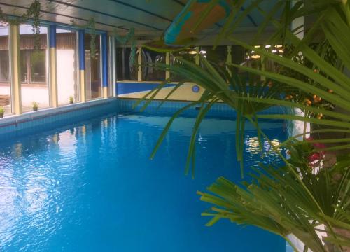 赫克斯特Hotel Hoxter Am Jakobsweg的前方种植着植物的蓝色游泳池