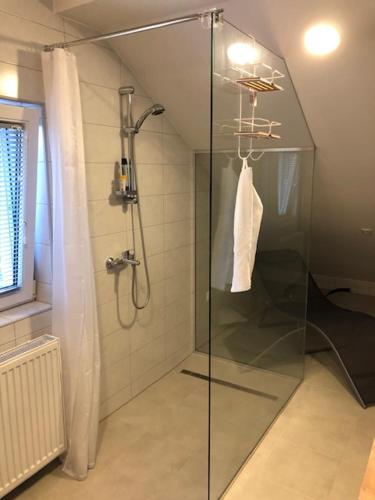 拉登齐Apartma na hüti的浴室里设有玻璃门淋浴