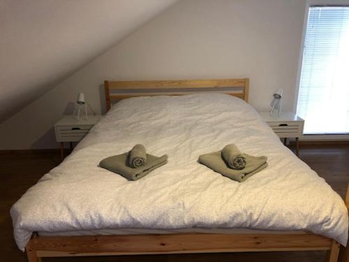 拉登齐Apartma na hüti的床上有2个枕头