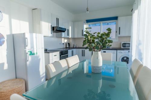 拉纳卡MAKENZY Seaview PENTHOUSE的厨房配有玻璃桌和花瓶,花瓶上放有植物