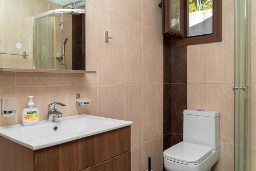 瓦西利基Melissi Villa的一间带水槽、卫生间和镜子的浴室