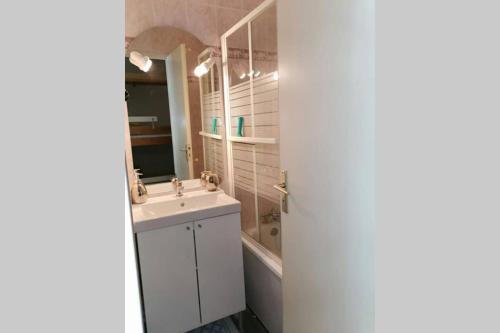 韦尔科尔地区格雷斯Studio mansardé 18 m2 climatisé avec piscine privée的一间带水槽、浴缸和镜子的浴室