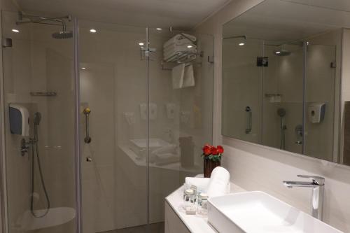 拿撒勒拿撒勒广场伊利特酒店 的带淋浴、盥洗盆和镜子的浴室