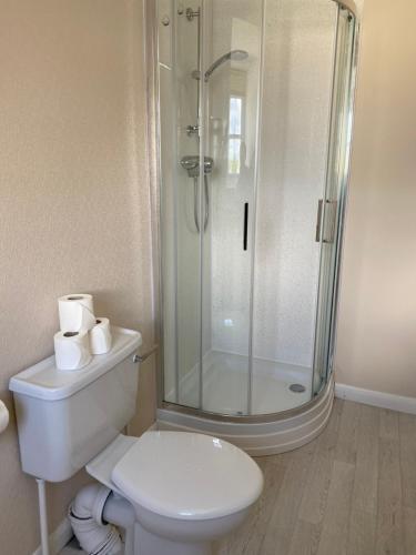 滕比克拉伦斯酒店的带淋浴和卫生间的白色浴室