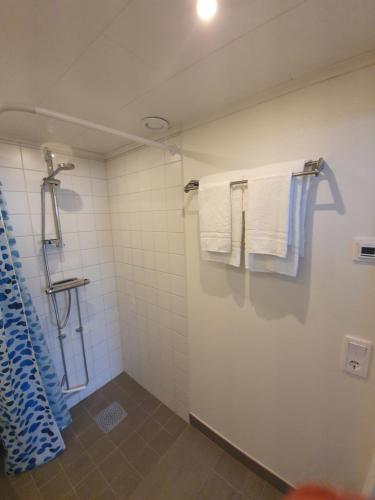 比克瑟尔克鲁克Byxelkrok, Solis的浴室的墙上挂着毛巾