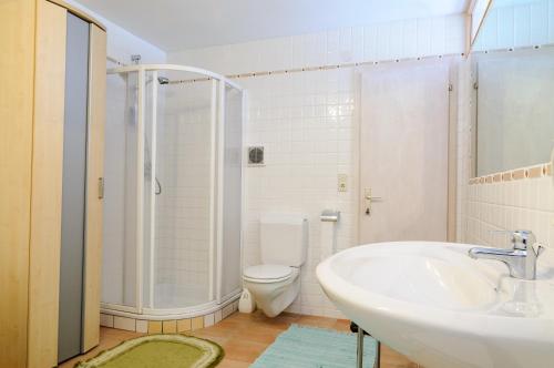塔伦茨Landhaus Linser的一间带水槽、卫生间和淋浴的浴室