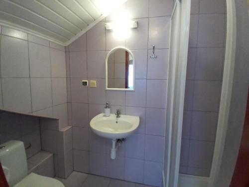 德兹维济诺Pokoje gościnne Akacja Resko的一间带水槽、镜子和卫生间的浴室