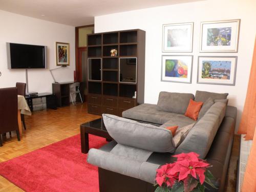 萨格勒布萨格勒布尊贵公寓的客厅配有灰色的沙发和电视