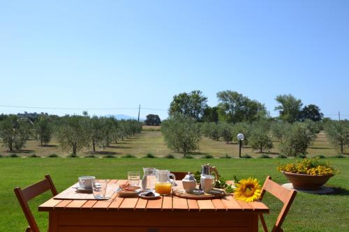 卡斯蒂里昂纳·德拉佩Agriturismo Il vecchio mandorlo的相册照片