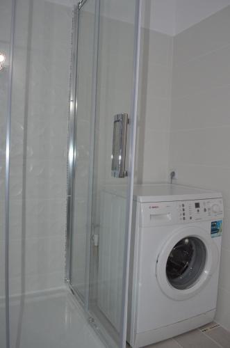 蒂米什瓦拉Evening Star Apartment的洗衣机以及带淋浴的浴室。