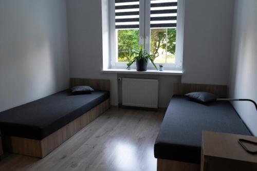 格但斯克Apartament Oliwska Przystań的客房设有两张床和窗户。