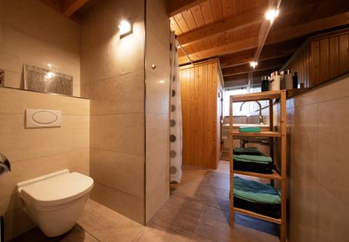 Winterswijk HenxelBuitenverblijf Het Grootenhuis的一间带卫生间和淋浴的浴室