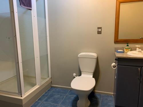 基督城斯皮尔斯巴恩山林小屋的浴室配有卫生间、淋浴和盥洗盆。