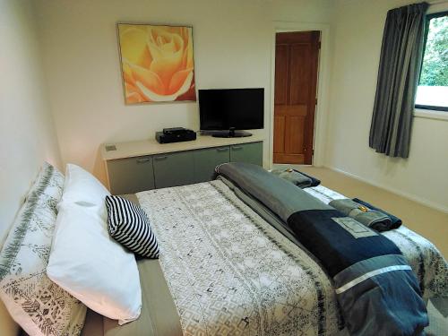 塔卡卡Golden Caves - Bed & Breakfast的一间卧室配有一张床和一台电视。