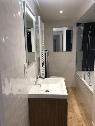 Longues-sur-MerLe petit clos du Bessin的白色的浴室设有水槽和淋浴。