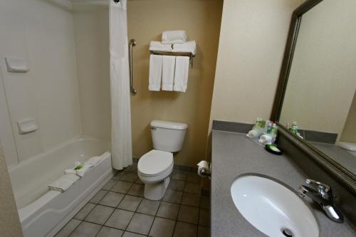 芬德利芬德利智选假日酒店&套房的浴室配有卫生间、盥洗盆和浴缸。