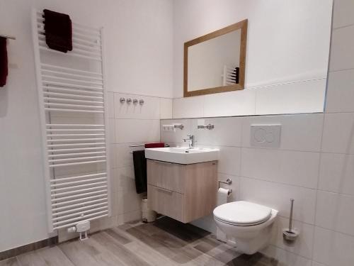 弗莱堡Jogis Ferienwohnungen的一间带卫生间、水槽和镜子的浴室