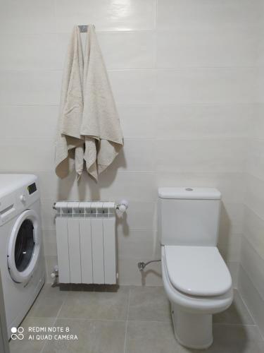 塔皮亚德卡萨列戈Piso de alquiler en Tapia de Casariego的一间带卫生间和洗衣机的浴室