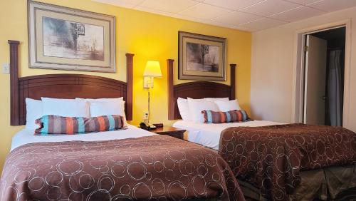 哈里斯堡Hampton Inn (not a Hilton Affiliate) Camp Hill - Harrisburg SW的两张床位于带黄色墙壁的酒店客房
