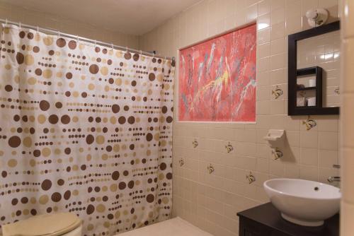 巴卡拉尔Amigos Hotelito的一间带水槽和淋浴帘的浴室