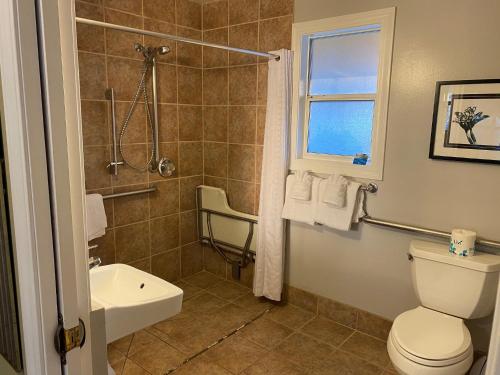 太平洋丛林太平洋丛林海风宾馆的带淋浴、卫生间和盥洗盆的浴室