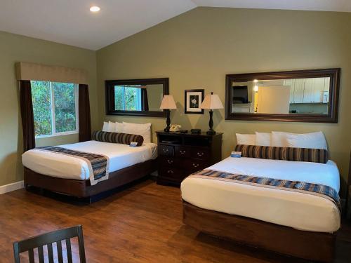 太平洋丛林太平洋丛林海风宾馆的一间卧室配有两张床和镜子