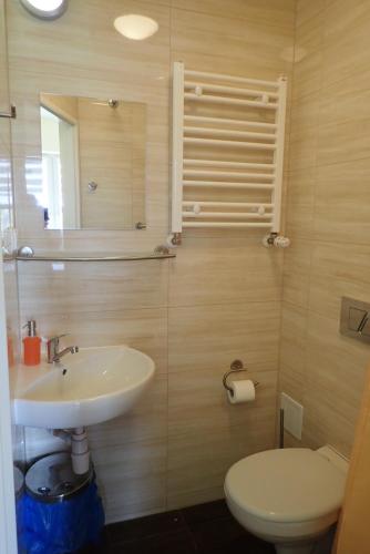 克拉科夫Nawojka Hotele Studenckie的一间带水槽、卫生间和镜子的浴室