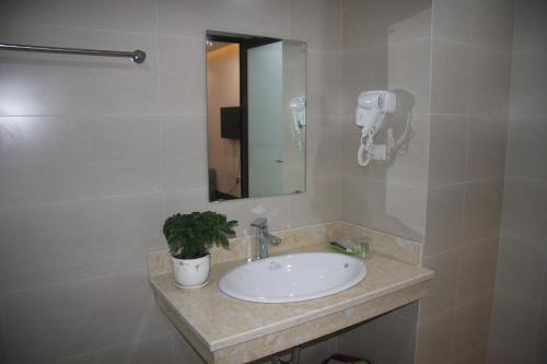 北宁SUN HOTEL & APARTMENT的浴室水槽,配有镜子和盆栽植物