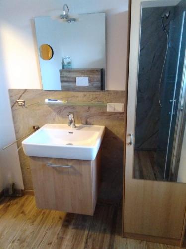 隆高地区圣玛格丽滕Country Appartement Lungau的一间带水槽和淋浴的浴室