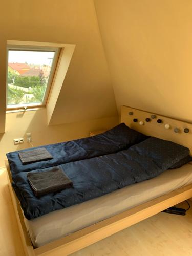 巴拉顿菲赖德Robinson szigete的一个小房间的一个床位,设有窗户