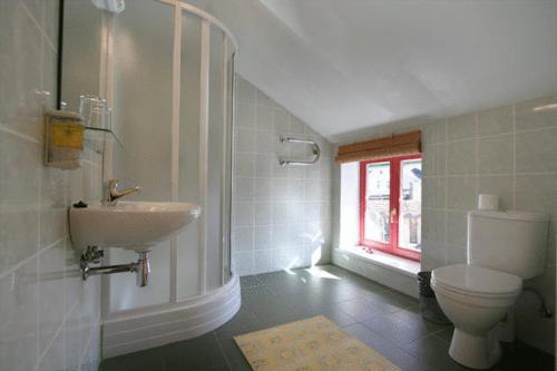 文茨皮尔斯莱比洛基的一间带卫生间、水槽和窗户的浴室