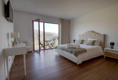 梅桑弗里乌Vila Douro Guesthouse的一间卧室配有一张床、一张书桌和一个窗户。