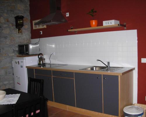 GuimaránLa Llosa Rodré的一间带水槽和冰箱的小厨房