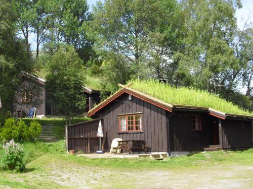 RaulandRauland Hytteutleige的一座带草地屋顶的小房子