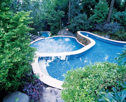 峨眉山Mount Emei Teddy Bear Hotel的花园中的一个游泳池