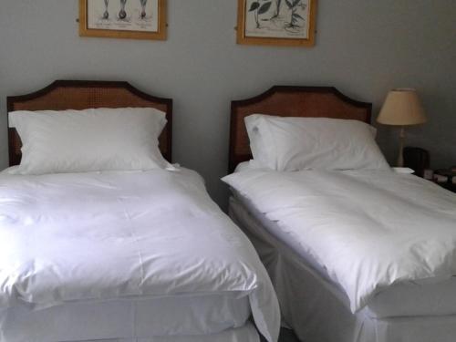 赛伦塞斯特Well Cottage B and B的配有2张床的带白色床单和枕头的客房