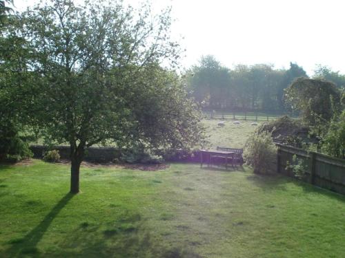 赛伦塞斯特Well Cottage B and B的草地上有一个长凳和一棵树的公园