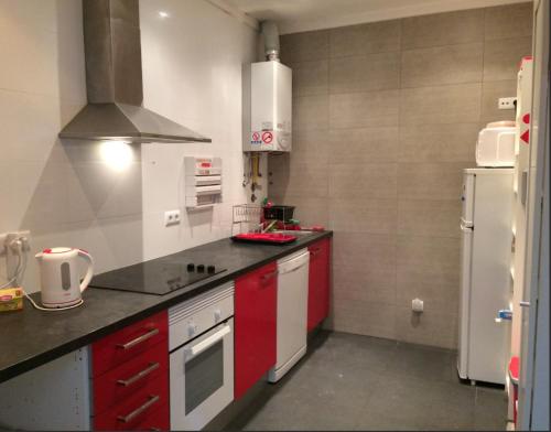 菲盖拉-达福什Green Wave Hostel的厨房配有红色橱柜和白色冰箱