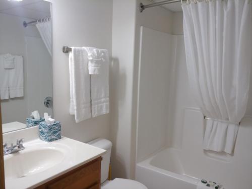 NauvooNauvoo Vacation Condos and Villas的一间带水槽、卫生间和淋浴的浴室