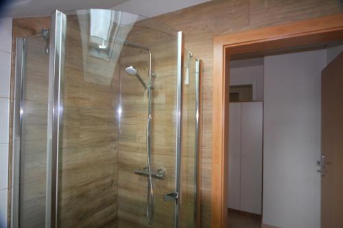 温蒂加斯顿Ferienwohnung Brandstätter的浴室里设有玻璃门淋浴