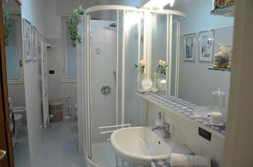 科莫欧尔摩别墅酒店的带淋浴和盥洗盆的白色浴室