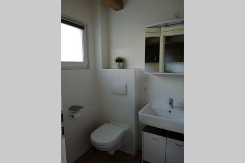 HerrischriedMühlehof的白色的浴室设有卫生间和水槽。