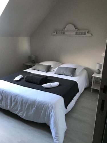Saint-Sulpice-le-DunoisAuberge de la fontaine aux loups的一间卧室配有两张大床和毛巾