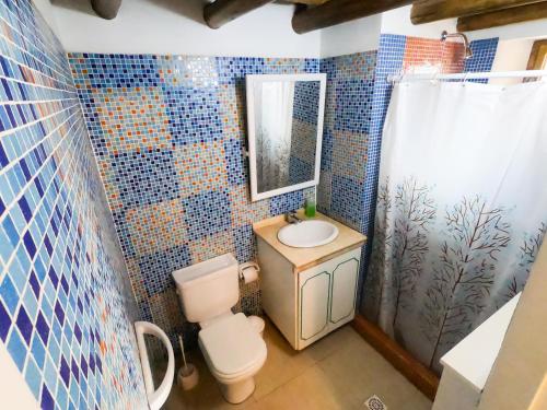 Las FloresLa Comarca del Jarillal的一间带卫生间、水槽和镜子的浴室