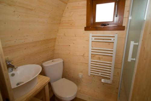 克勒珀林Ferien im Naturwagen Pod 3的一间带卫生间和水槽的小浴室