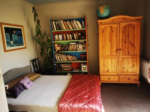 MatkuleGold Sun Zelta Saule的一间卧室配有床和书架